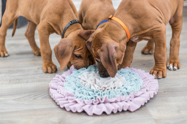 Trixie Junior Sniffing Carpet Strategy Game for Pets