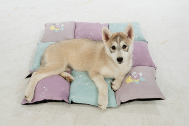 Trixie Junior Patchwork Cushion for Dogs