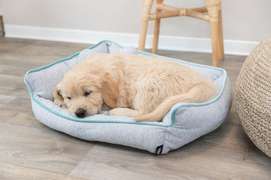 Trixie Junior Dog Bed - Light Grey/Mint