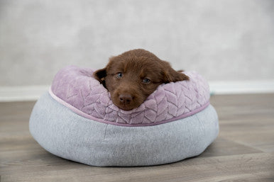 Trixie Junior Round Dog Bed - Light Grey/Light Lilac