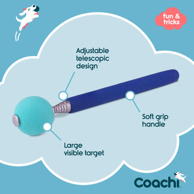 Coachi Target Stick for Dogs - Navy & Light Blue