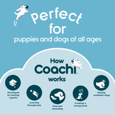 Coachi Fetch & Reward for Dogs - Navy & Lime