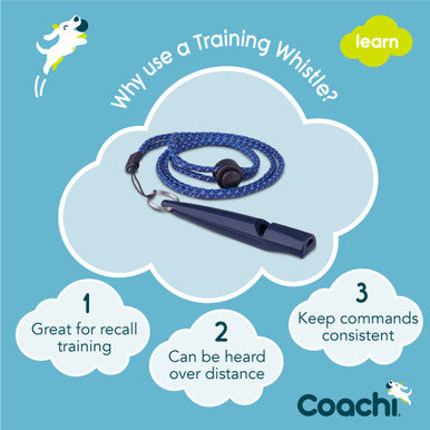 Coachi Training Whistle for Dogs - Navy