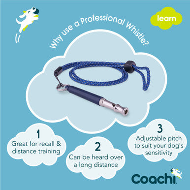 Coachi Professional Whistle for Dogs - Navy