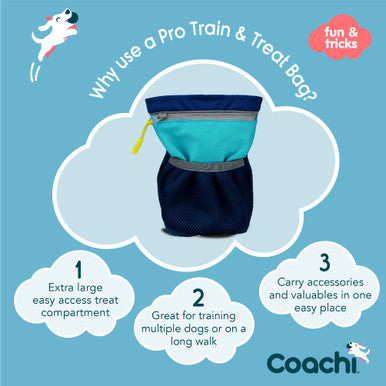 Coachi Pro Train & Treat Bag for Dogs - Navy & Light Blue