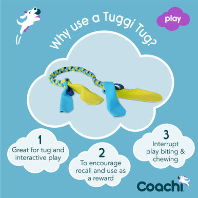 Coachi Tuggi Tug Toy for Dogs - Navy, Lime & Light Blue