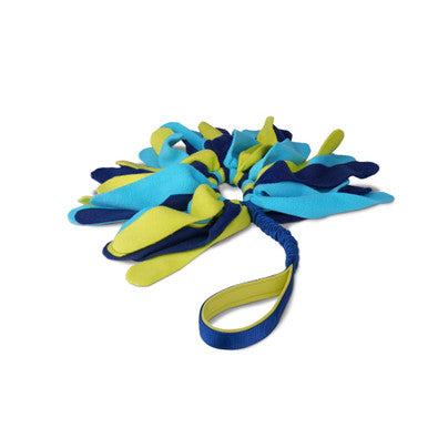 Coachi Tuggi Spider Toy for Dogs - Navy, Lime & Light Blue