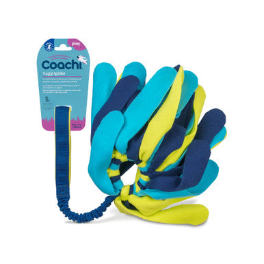 Coachi Tuggi Spider Toy for Dogs - Navy, Lime & Light Blue