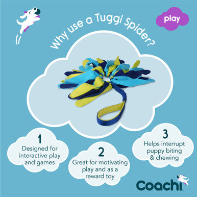 Coachi Tuggi Spider Toy for Dogs - Navy, Lime & Light Blue