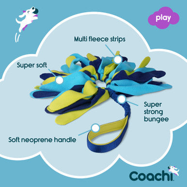 Coachi Tuggi Spider Toy for Dogs - Navy, Lime & Light Blue