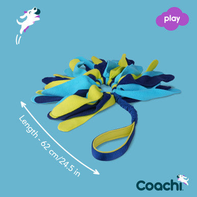 Coachi Tuggi Spider Toy for Dogs - Navy, Lime & Light Blue