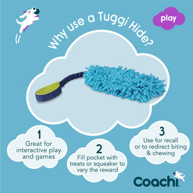 Coachi Tuggi Hide Toy for Dogs - Navy, Lime & Light Blue