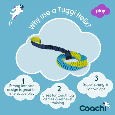 Coachi Tuggi Helix Toy for Dogs - Navy, Lime & Light Blue