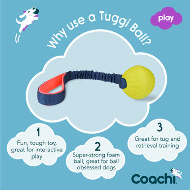 Coachi Tuggi Ball Toy for Dogs - Navy, Coral & Lime