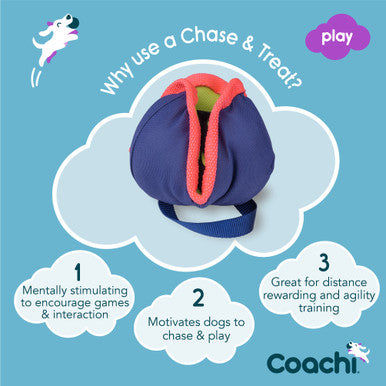 Coachi Chase & Treat Toy for Dogs - Navy, Lime & Coral