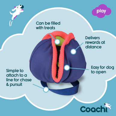 Coachi Chase & Treat Toy for Dogs - Navy, Lime & Coral