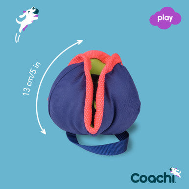 Coachi Chase & Treat Toy for Dogs - Navy, Lime & Coral