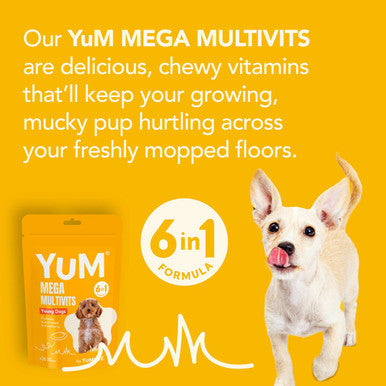 YuM MultiVits 6 in 1 Young Dog Treats