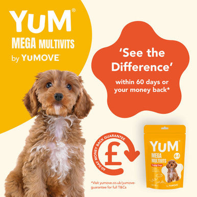 YuM MultiVits 6 in 1 Young Dog Treats