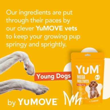 YuM MultiVits 6 in 1 Young Dog Treats