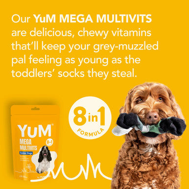 YuM MultiVits 8 in 1 Senior Dog Treats