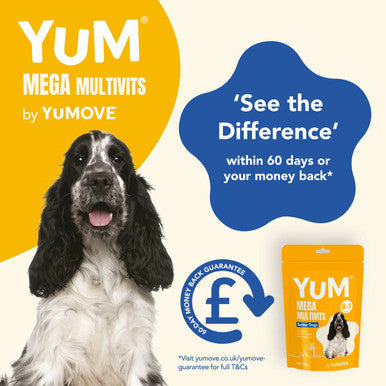 YuM MultiVits 8 in 1 Senior Dog Treats