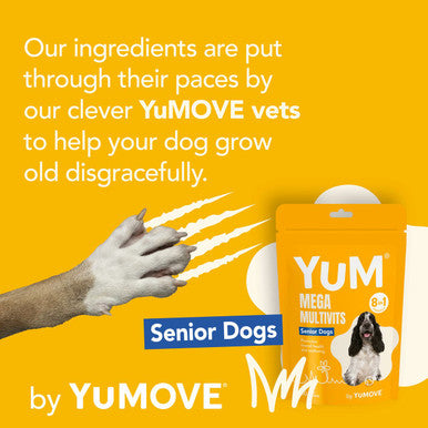 YuM MultiVits 8 in 1 Senior Dog Treats