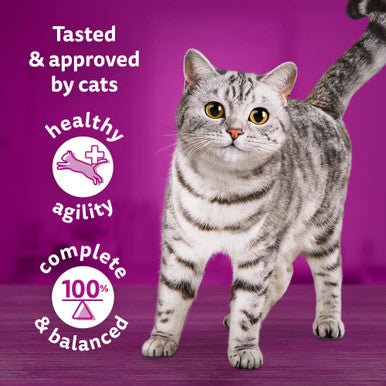 Whiskas 1+ Cat Pouches Tasty Mix Chefs Choice In Gravy