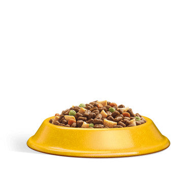 Whiskas 1+ Cat Complete Dry With Chicken