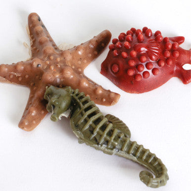 Elkwood Sea Creatures Treats With Seaweed