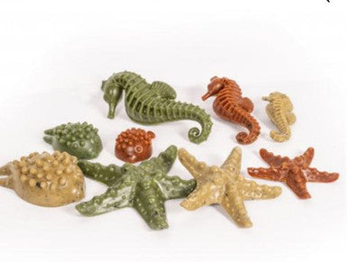 Elkwood Sea Creatures Treats With Seaweed