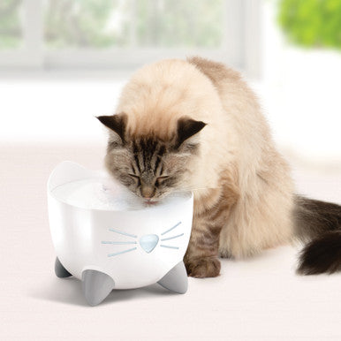 Catit Pixi Cat Drinking Fountain