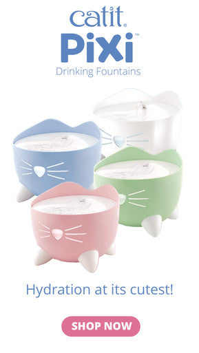 Catit Pixi Cat Drinking Fountain