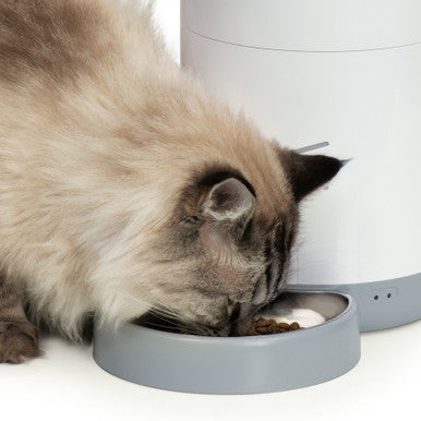 Catit Pixi Cat Smart Feeder