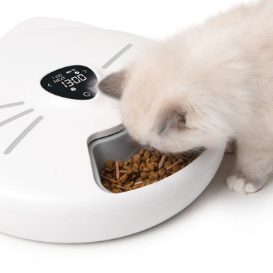 Catit Pixi Cat Smart 6 Meal Feeder