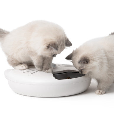 Catit Pixi Cat Smart 6 Meal Feeder