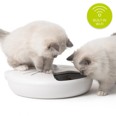 Catit Pixi Cat Smart 6 Meal Feeder