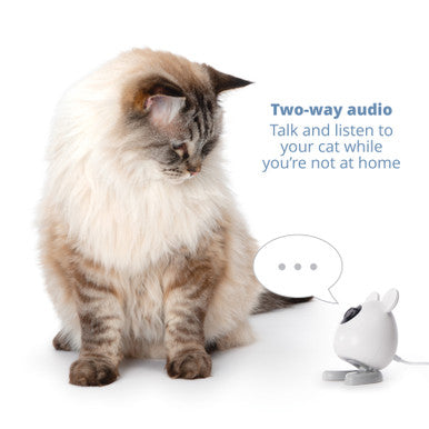 Catit Pixi Cat Smart Mouse Camera