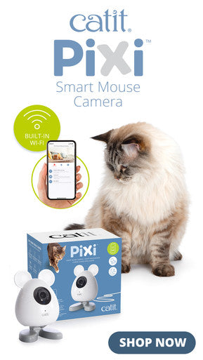 Catit Pixi Cat Smart Mouse Camera