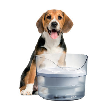 Zeus Fresh and Clear Splash Guard Dog Drinking Fountain