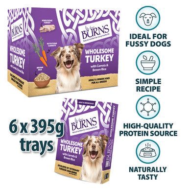 Burns Gluten-free Adult & Senior Wet Dog Food - Wholesome Turkey