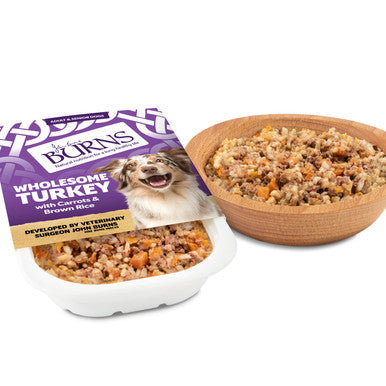 Burns Gluten-free Adult & Senior Wet Dog Food - Wholesome Turkey