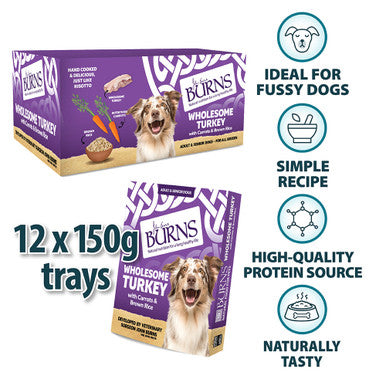 Burns Gluten-free Adult & Senior Wet Dog Food - Wholesome Turkey