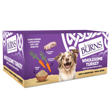 Burns Gluten-free Adult & Senior Wet Dog Food - Wholesome Turkey