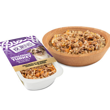 Burns Gluten-free Adult & Senior Wet Dog Food - Wholesome Turkey