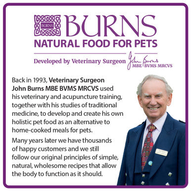 Burns Original Adult/Senior Dry Cat Food - Chicken & Brown Rice