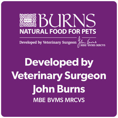 Burns Original Adult/Senior Dry Cat Food - Chicken & Brown Rice