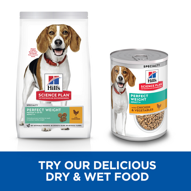 Hill's Science Plan Perfect Weight Wet Dog Food - Chicken & Vegetables