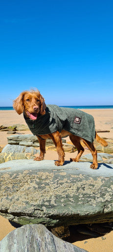 Danish Design Towelling Green Adult Dog Robe