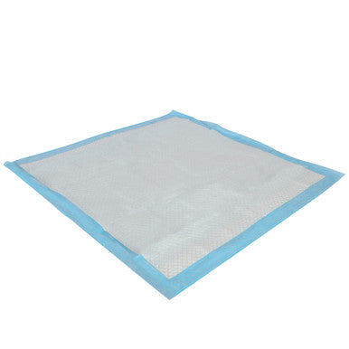 Petsentials Scented Puppy Dog Training Pads